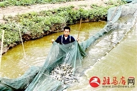 河南正阳县洞滨湖边村民育鱼苗忙致富
