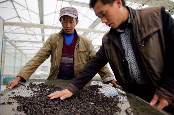 ǶȺڼԱңָɹľ623㣩