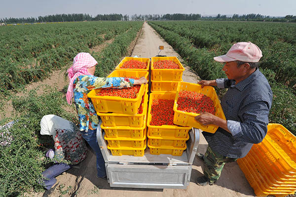 磬ũڰ˸ղժʹ625㣩