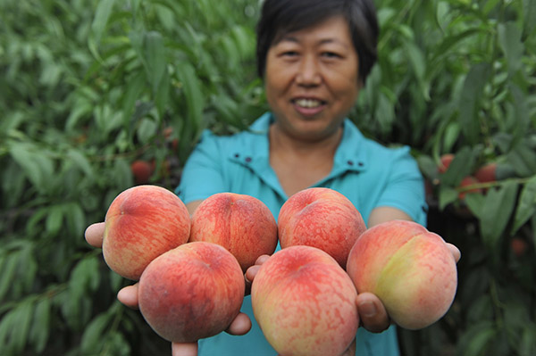 625գغʯׯĴ԰չʾողժҡ