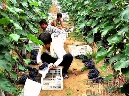 ڻرũҵȷΪȫʩ߲ص