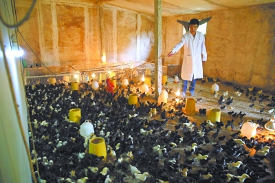 北京门头沟:舍弃黑金之后