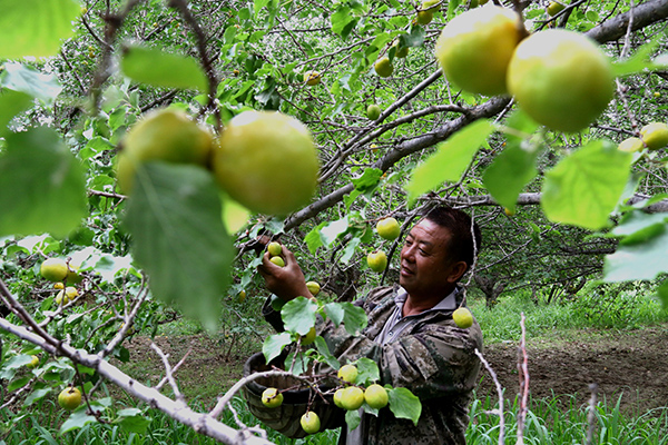 ����ػ�������Ȫ����ɳɽ����Ʈ��