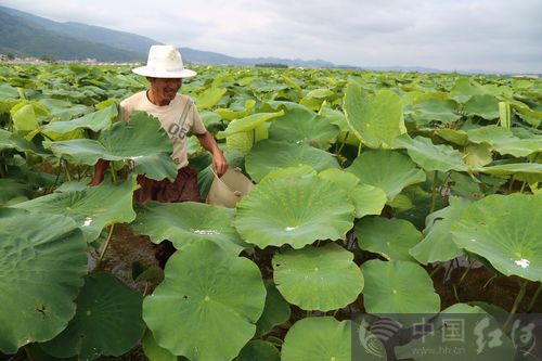 ��������8600��Ķ��ź��������