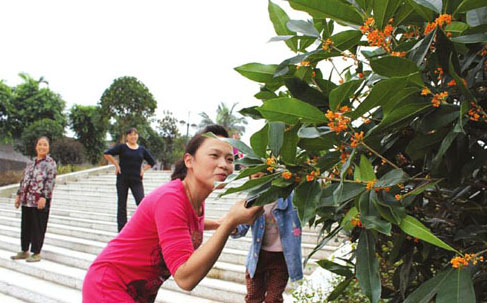 �Ĵ����ݷ��ֹ𻨲�ҵ �¸�·�ϻ�Ϊý