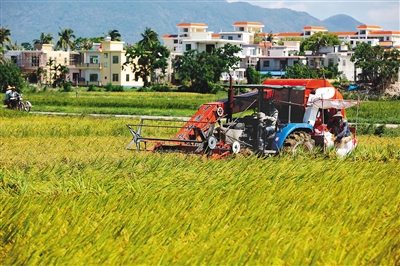 �������ǣ�������� �ո�æ