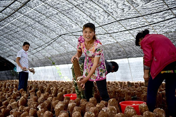 628գࣨУڳаĴժ㹽