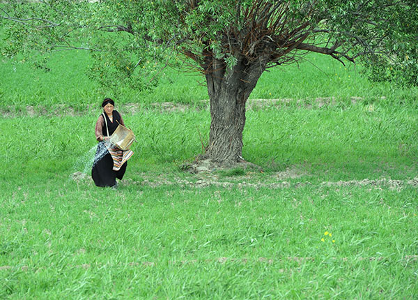 629գسǽũũʩʡ