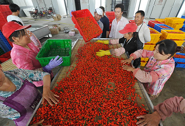 һ轼ӹҵƽʹ׼ɹɣ625㣩