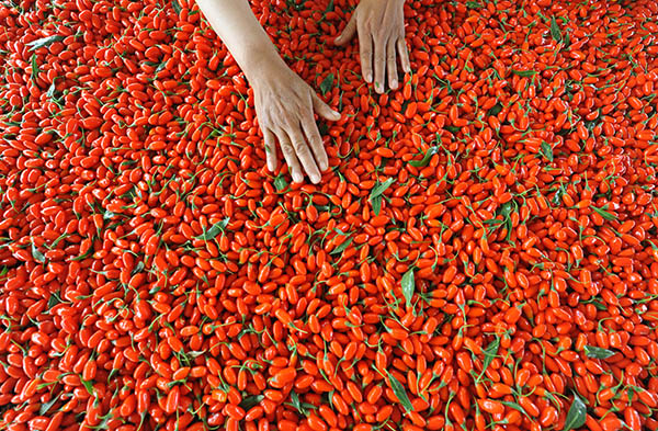 һ轼ӹҵƽʹ׼ɹɣ625㣩