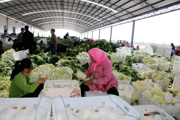 ����������6.5��Ķ��ԭ�Ĳ�ϲ�����