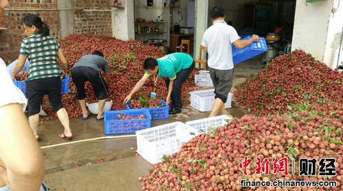 ������Ҷ��֦���� ũҵ���̻��ٳ��ֳ�����ʮ��Ԫ