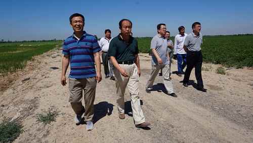 ɽʡƼũԺ쵼ʦũĿʵʩ