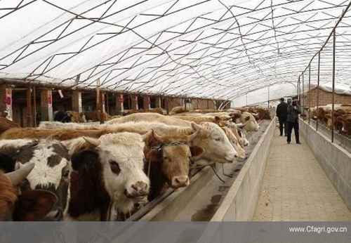 ���ɹų���У���ţ�����ִ�����Ѱͻ�ƴ��º���ı��չ