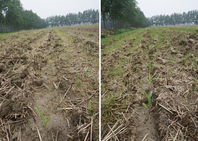 ���չ����أ�ũҵר���߽���ͷ�����������ֺ�����ָ��