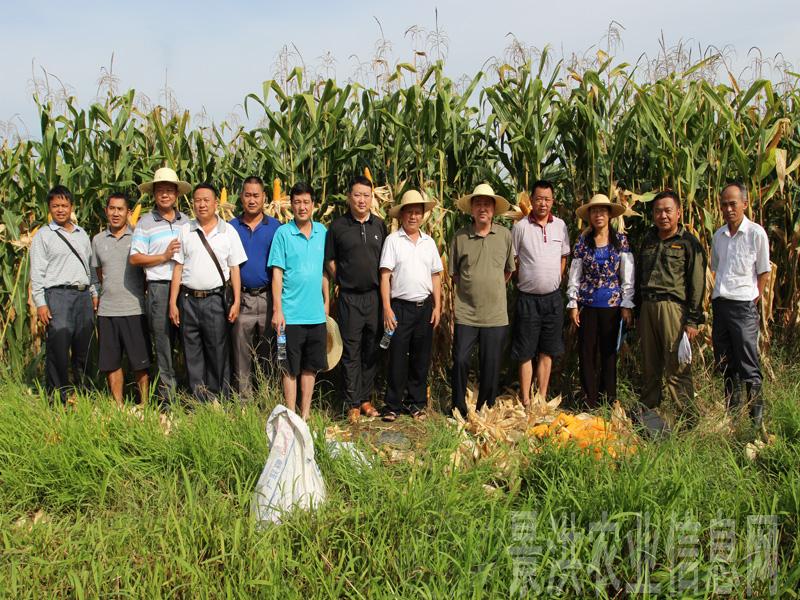 ���Ͼ����и߲��������׻��ݼ�ר�Ҳ������