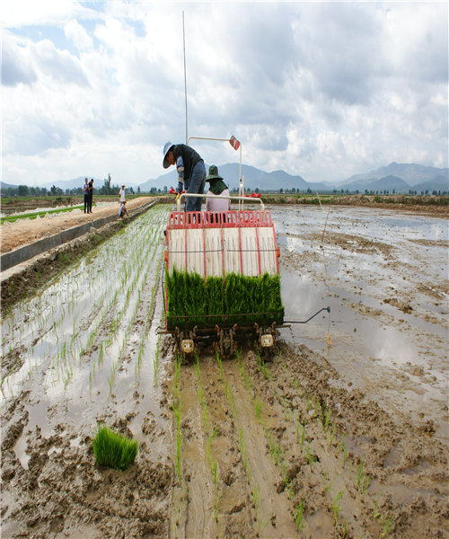 �����º���ũ���ƹ�վ�����ƽ�ˮ����е����������Ŀ����