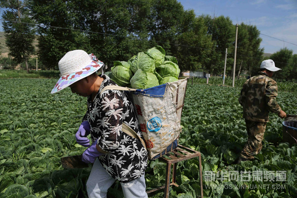 ���ඨ������ԭ�Ĳ˳�������