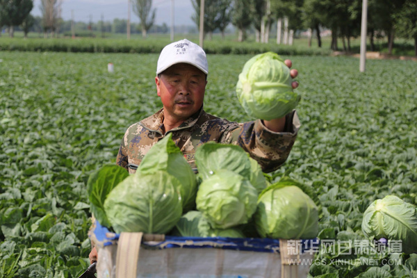 7��5�գ�����ʡ��������Ȫ��ֹ���������ڲ��ճ���ĸ�����