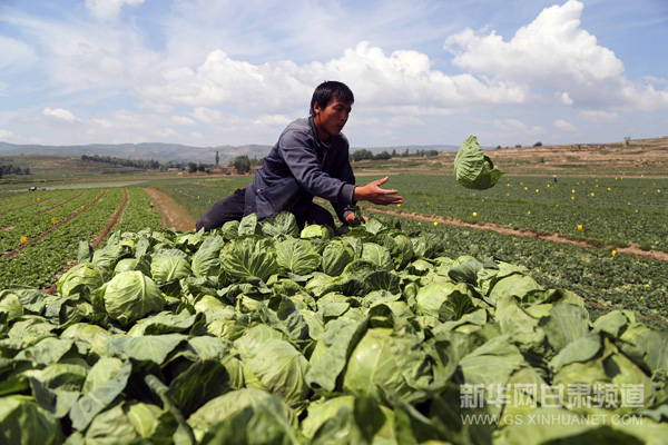 7��5�գ�����ʡ��������Ȫ������������ڽ����յĸ���װ����