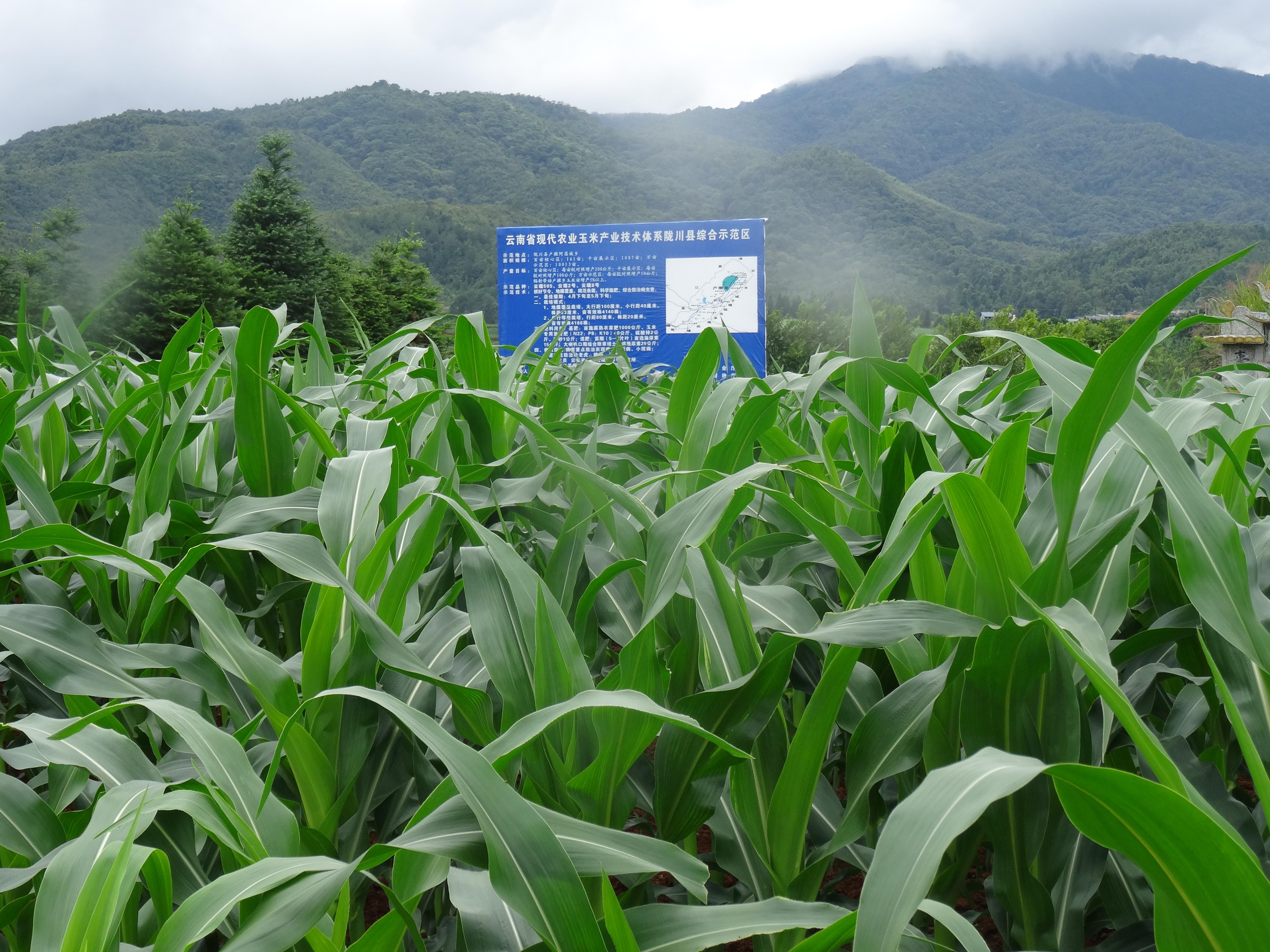 ����¤���������ƹ�վ2015�������ۺ�ʾ��������ϲ��