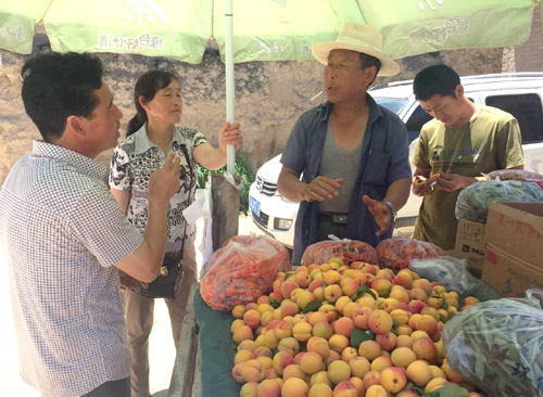 ���������� ��ũͨ������ƽ̨��15���