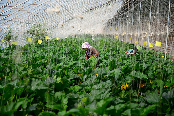 73գӱʡе¡˳л߲˻ع