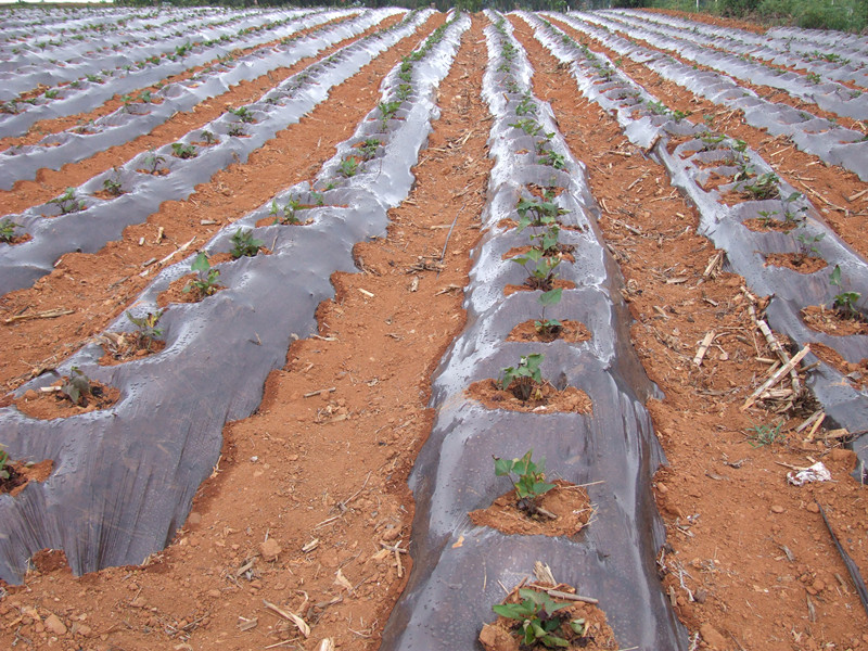 ������Ϫ�ж�ɽ�ظ�����������������ֲ�ܻ�ӭ