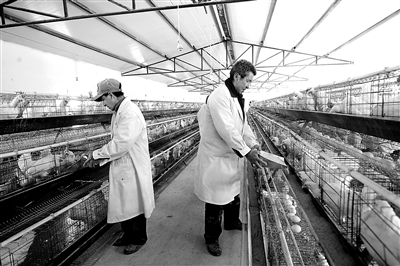 西藏曲松县:特色养殖 “钱”景可观