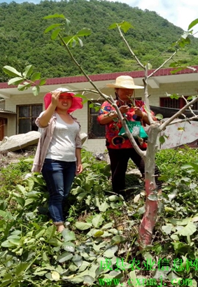 ������ض����������չ�ļ��������ۺϹ�������