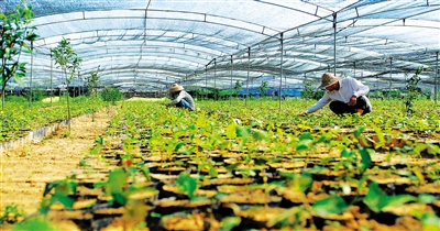 �����������Ͳ���ֲ������ ȥ���ֵ��1��