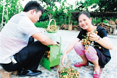 海南儋州黄皮:特色农业品牌初长成