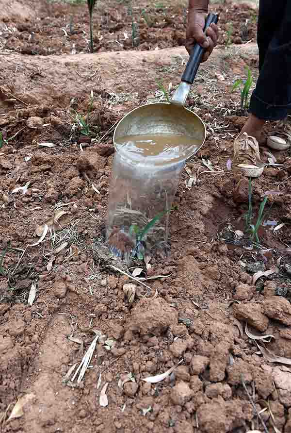 78գĲмҴίũΪ罽ˮ