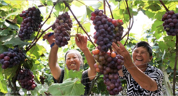 ����������������Ʈ��ũ��