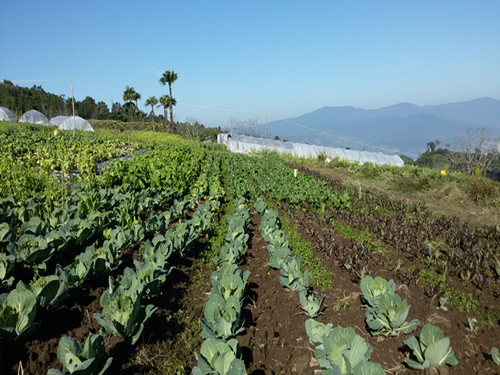 ����������С�߲ˡ� ���ҵ2