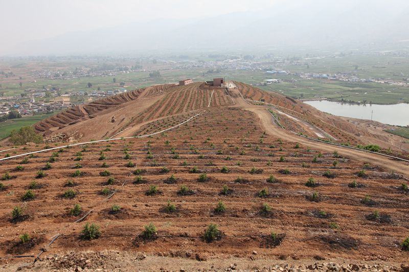 ���ϼӿ���������ƽ���ԭ��ɫ�ִ�ũҵ��չ�ֳ����ٿ�