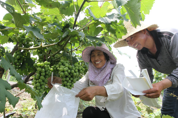 �����Ϫ���幵�������״� ��������