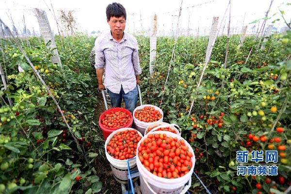 7��8�գ�����ʡ���ش���կ������ͥũ���޹����߲�С������ֲ���������������������غ�ɫ����觡���С���߳���䡣