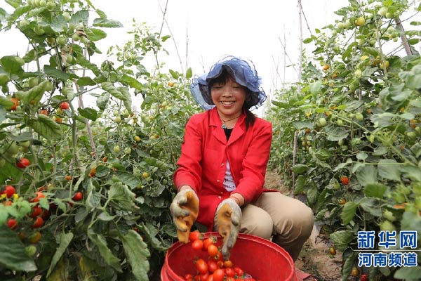 ���ϻ��أ���ɫ����觡��ɾ��¸���