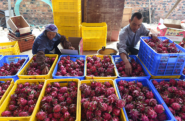 �������������� �۸��ȥ���½�4��