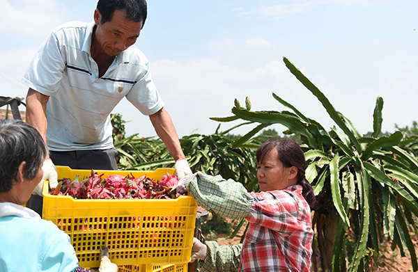 7��9�գ��������������к�����������صĹ�����װ���ջ�Ļ�������