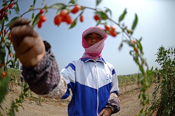 轲ժ轻زժ轣711㣩