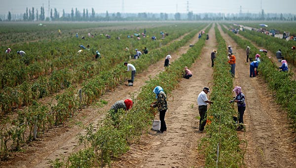 轲ժ轻زժ轣711㣩