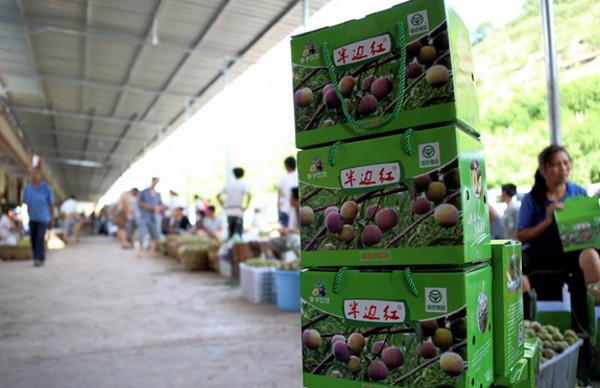 ����ߺ족������ʡ�����̱�