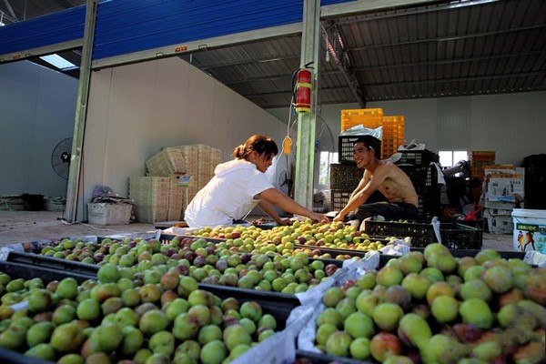 �����չ�����������