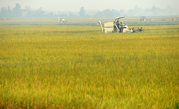 713գոڽʡ½زϺӿڴ絾ҵ