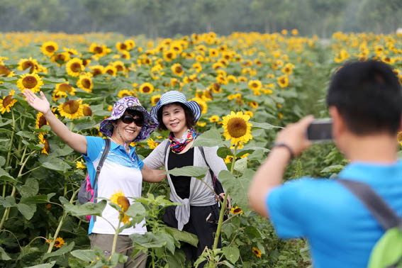 ���ջ���������ũҵ������