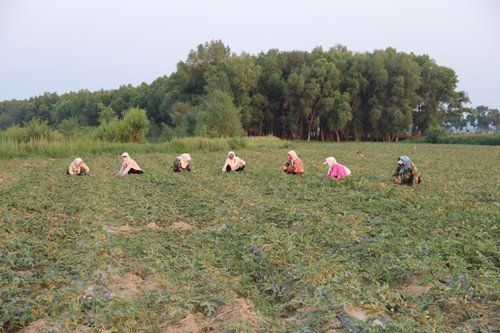 ���ɹų���У�������ľͷӪ����200Ķ������Ϸ�������