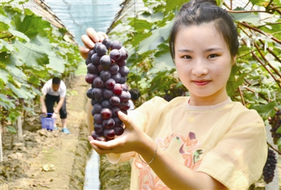 ���ճ���������԰԰���ɴ�ʱ��