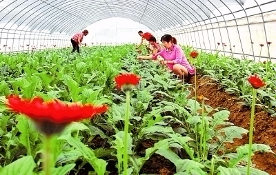 711գӪȺկľ̬԰ڲժԽϷɻչʻֲҵܱȺھҵգ¸·